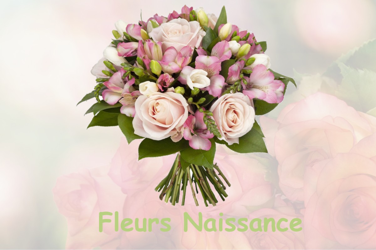 fleurs naissance SAINT-QUENTIN-SUR-ISERE