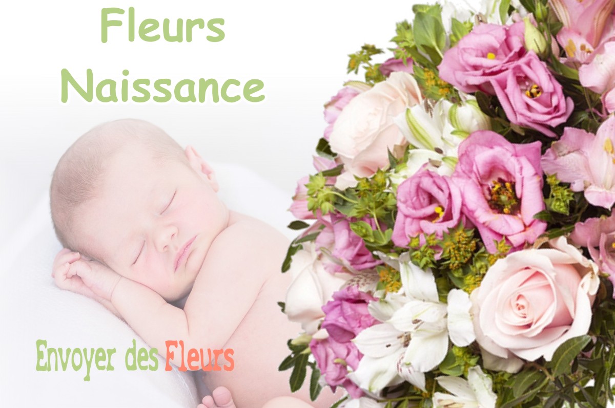 lIVRAISON FLEURS NAISSANCE à SAINT-QUENTIN-SUR-ISERE